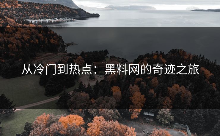 从冷门到热点：黑料网的奇迹之旅  第1张
