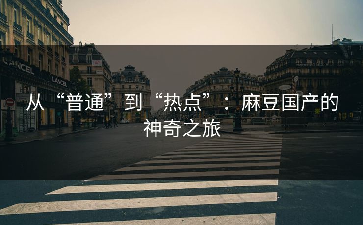 从“普通”到“热点”：麻豆国产的神奇之旅  第1张