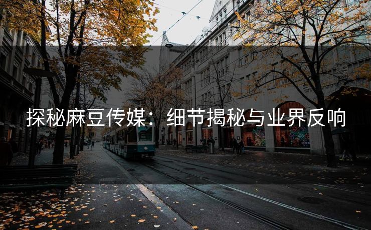 探秘麻豆传媒：细节揭秘与业界反响  第1张