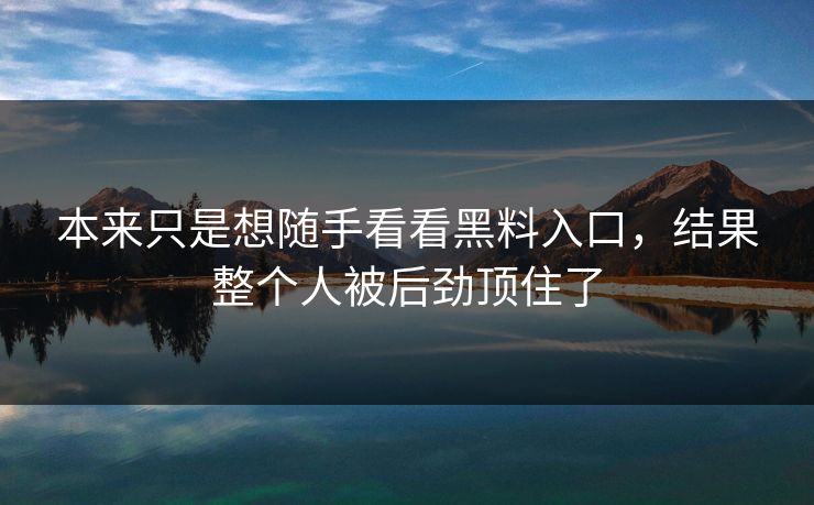 本来只是想随手看看黑料入口，结果整个人被后劲顶住了  第1张