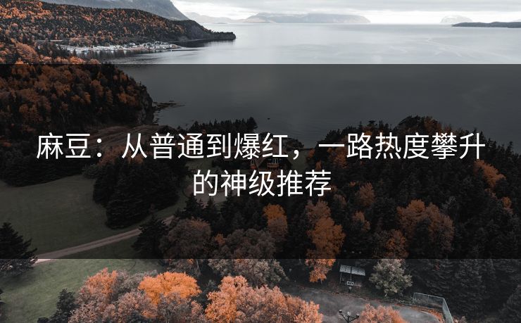 麻豆：从普通到爆红，一路热度攀升的神级推荐  第1张