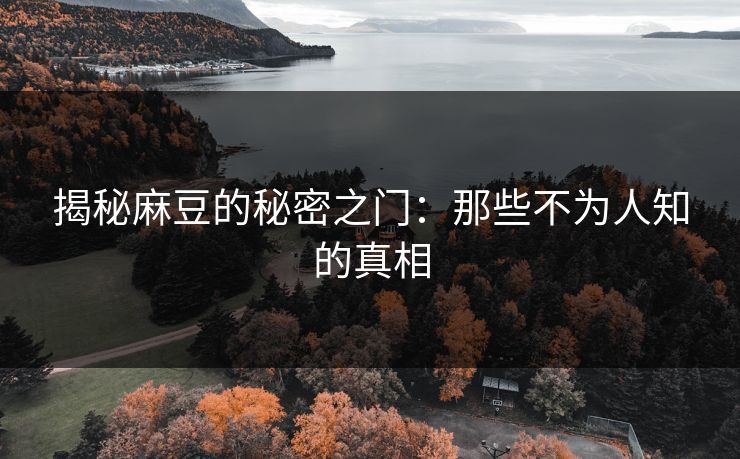 揭秘麻豆的秘密之门：那些不为人知的真相  第1张