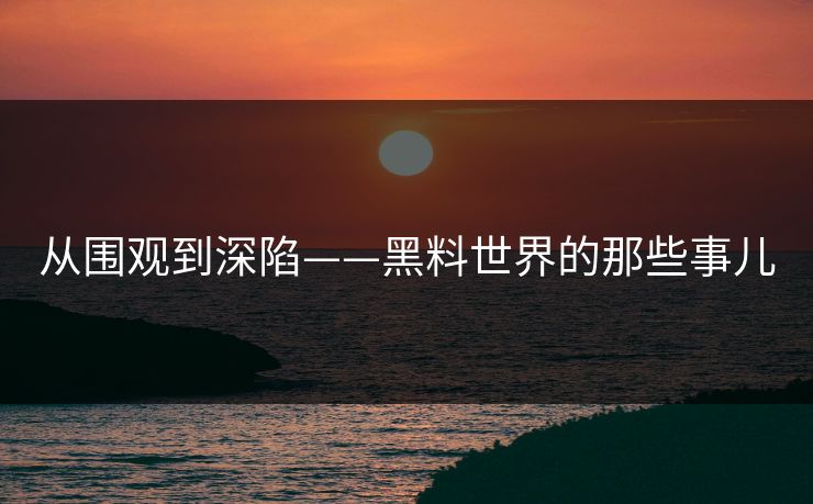 从围观到深陷——黑料世界的那些事儿  第1张