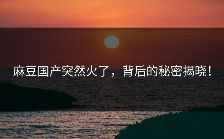 麻豆国产突然火了，背后的秘密揭晓！  第1张