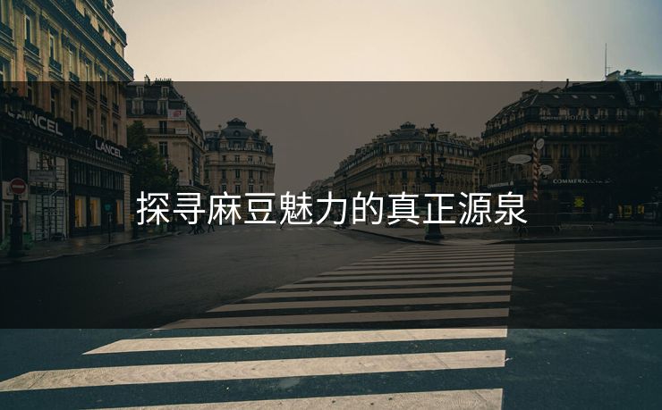 探寻麻豆魅力的真正源泉  第1张
