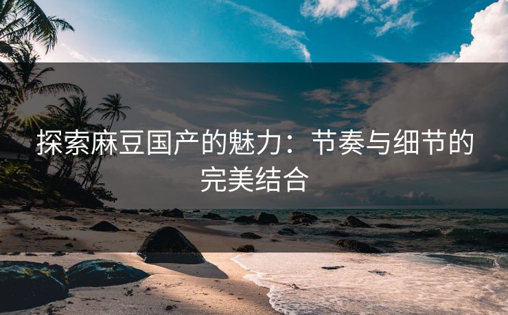 探索麻豆国产的魅力：节奏与细节的完美结合  第1张