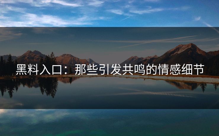 黑料入口：那些引发共鸣的情感细节  第1张