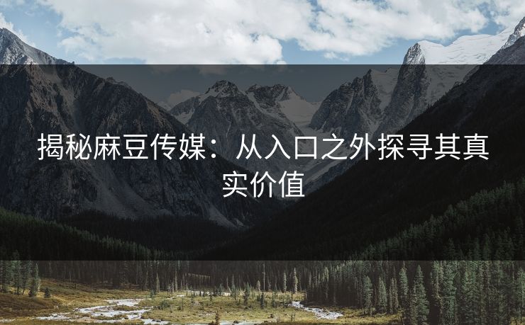 揭秘麻豆传媒：从入口之外探寻其真实价值  第1张