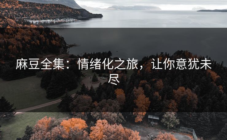 麻豆全集：情绪化之旅，让你意犹未尽  第1张