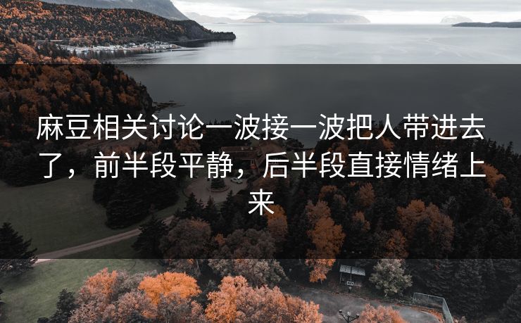 麻豆相关讨论一波接一波把人带进去了，前半段平静，后半段直接情绪上来  第1张