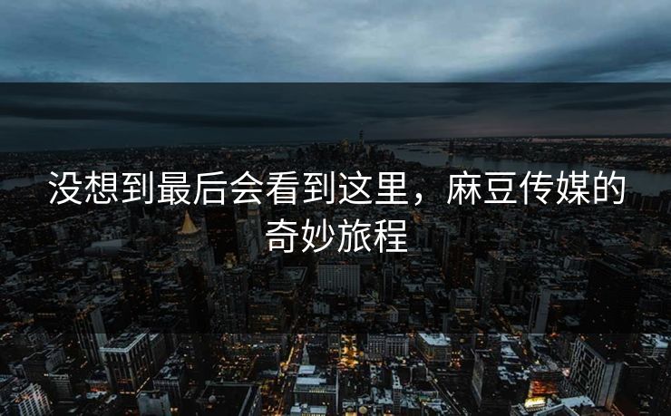 没想到最后会看到这里，麻豆传媒的奇妙旅程  第1张